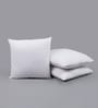 White Microfiber Filled 24X24 Inches Cushion Inserts (Set Of 3)