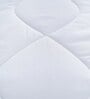 White Polyester Solid 300 GSM Double Bed Duvet Insert