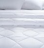 White Polyester Solid 300 GSM King Bed Duvet Insert