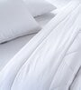 White Polyester Solid 300 GSM King Bed Duvet Insert