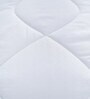 White Polyester Solid 300 GSM Single Bed Duvet Insert