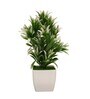 Polyester Ams White Bonsai Flower With Pot Artificial Plant