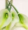 White Polyester Artificial Callalily Flower