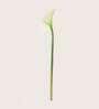 White Polyester Artificial Callalily Flower