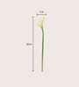 White Polyester Artificial Callalily Flower