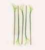White Polyester Artificial Callalily Flower