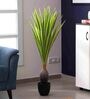 Polyester White Dracaena With Pot Artificial Plants