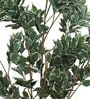 White Polyester Artificial Ficus Plant Without Pot
