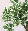 White Polyester Artificial Plant With pot