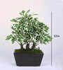 Polyester White With Pot Artificial Plants