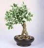 White Polyester Artificial Plant With pot