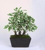 Polyester White With Pot Artificial Plants