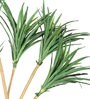White Polyester Artificial Yucca Plant Without Pot