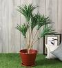White Polyester Artificial Yucca Plant Without Pot