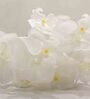 White Polyester Fabric Artificial Orchid Flower Bunch