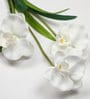 White Polyester Stunning Artificial Orchid Artificial Flowers