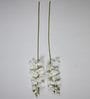 White Polyester Fabric Tropical Artificial Orchid Flowers Set of 2