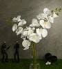 White Polyester Fabric Tropical Artificial Orchid Flowers Set of 2