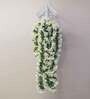 White Polyester Stunning Artificial Creeper for Wall Hanging Without Pot