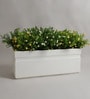 White Polymer 24 Inch Rectangular Planter