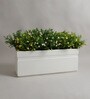 White Polymer 36 Inch Rectangular Planter