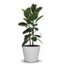 Aloha Medium White Polymer Floor Planter
