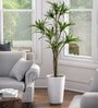White Polymer Ancy  Big Planter