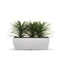 White Polymer Fabi Wide Big Planter