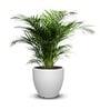 Iraka Medium White Polymer Floor Planter