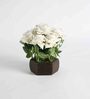 White Polyster Artificial Beautiful Velvet Rose Flower Plant With Wooden Hexagon Pot