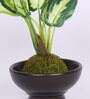 White & Green Artificial Bonsai Plant with Ceramic Pot