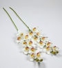 White Polyurethane Beautiful Artificial Cymbidium Orchid Flowers Set of 2