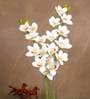 White Polyurethane Beautiful Artificial Cymbidium Orchid Flowers Set of 2