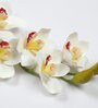 White Polyurethane Beautiful Artificial Cymbidium Orchid Flowers Set of 2
