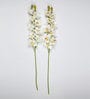 White Polyurethane Beautiful Artificial Cymbidium Orchid Flowers Set of 2