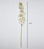 White Polyurethane Beautiful Artificial Cymbidium Orchid Flowers Set of 2
