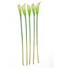 White Polyurethane Callalily Artificial Flower Pack of 5