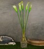 White Polyurethane Callalily Artificial Flower Pack of 5