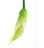 White Polyurethane Callalily Artificial Flower Pack of 5