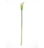 White Polyurethane Callalily Artificial Flower Pack of 5