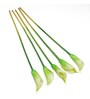 White Polyurethane Callalily Artificial Flower Pack of 5