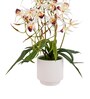 White Pu Foam Elegant Star Orchid Arrangement Pot With Flower