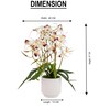 White Pu Foam Elegant Star Orchid Arrangement Pot With Flower