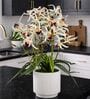 White Pu Foam Elegant Star Orchid Arrangement Pot With Flower