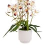 White Pu Foam Elegant Star Orchid Arrangement Pot With Flower