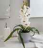 White Pu Foam Velvet Orchid Elegance Pot With Flower