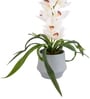 White Pu Foam Velvet Orchid Elegance Pot With Flower