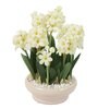 White Pvc Hyacinth Artificial Bonsai With Off- White Ceramic Pot