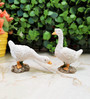 White Resin Ducks Artificial Bird & Animal