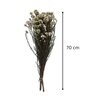 White Rice Flower 3 Stems